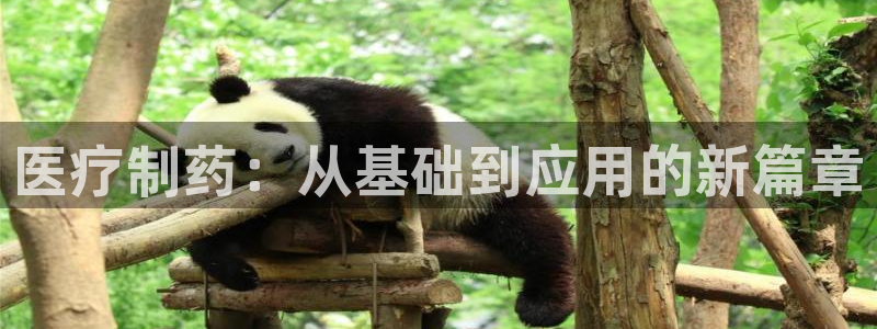 恒指5行情 如来再我心