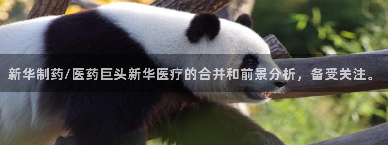 恒行2吴74OOO5