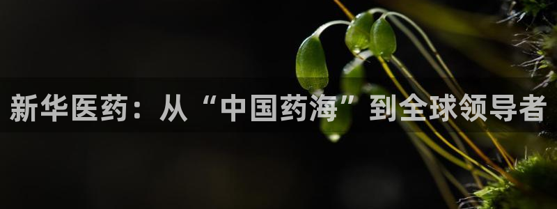 恒行娱乐陈74OOO5