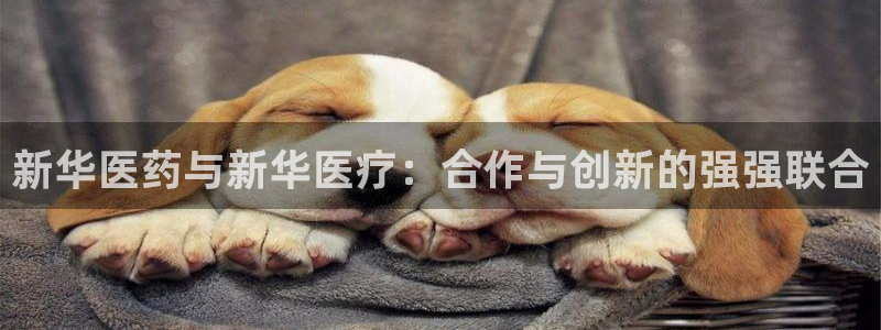 恒行娱乐登录5ll533主管一流