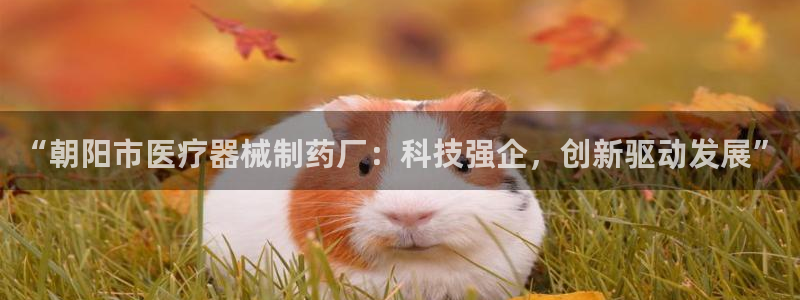 恒行招商老大诚挚 6ll5l