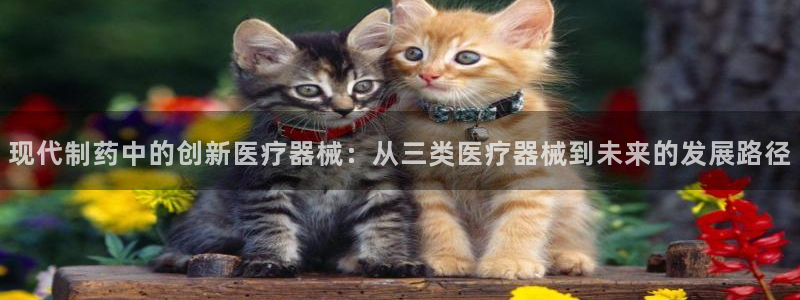 恒行娱乐冯74OOO5