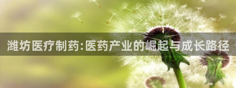 恒行开户全2O5o5O