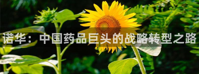 恒行娱乐河沂74ooo5程