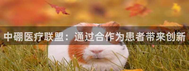 恒行招商老大诚挚 6ll5l