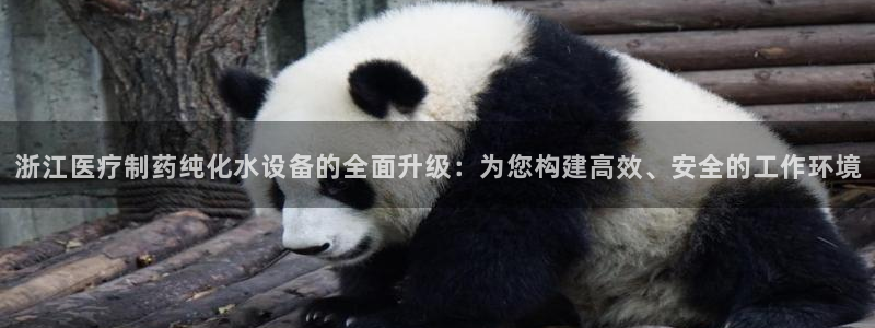 恒行娱乐寻问74 5