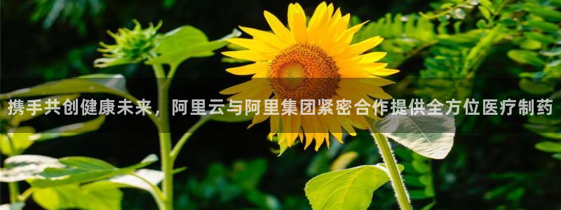 恒行5