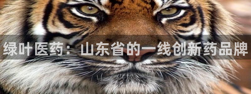 恒行2那74OO5