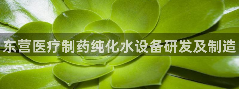恒行娱乐冯74OOO5