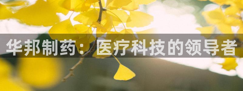 恒行2杨74OOO5