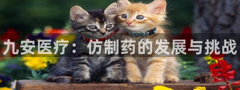 恒行娱乐见5ll533主管