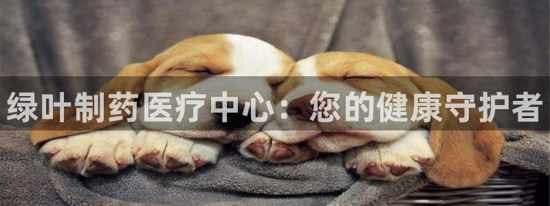 恒行娱乐招收点赞5ll533主管