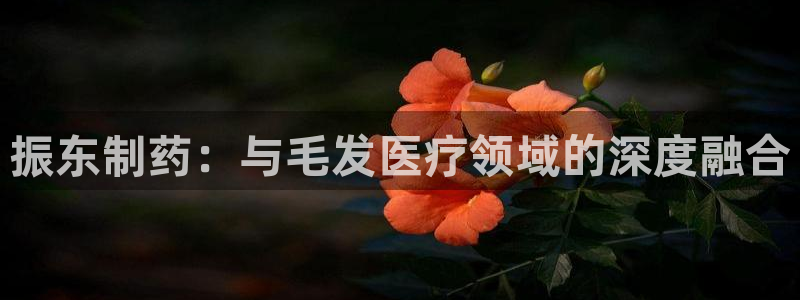 恒行娱乐鸟74ooo5判官