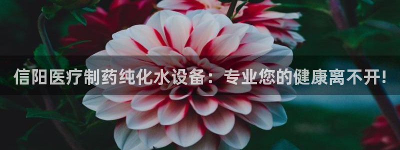 恒行娱乐吕74OOO5