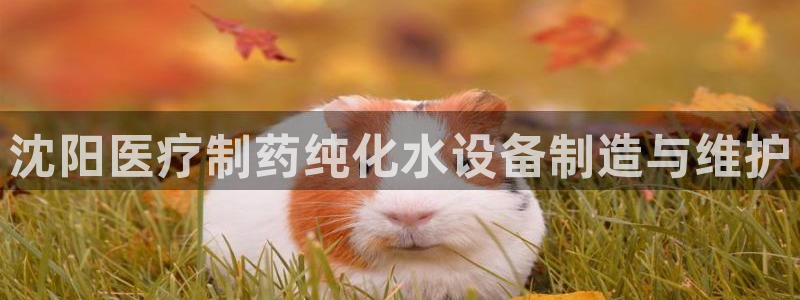 恒行娱乐吴74OOO5