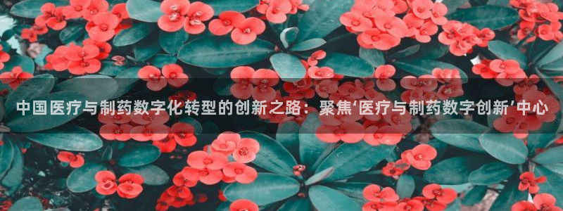 恒指5行情 如来再我心