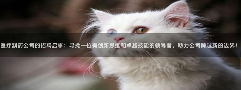 恒行2那74OOO5