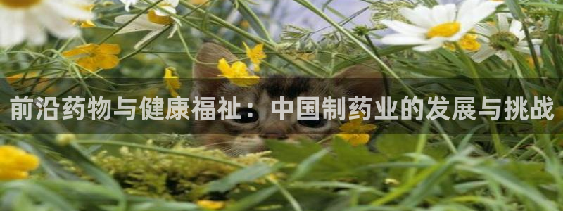 恒行2吴74OOO5