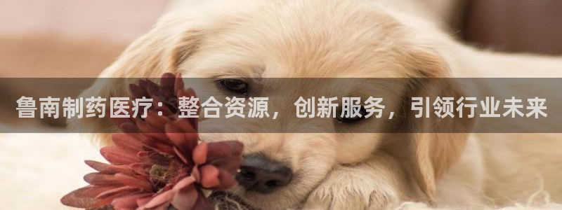 恒行主管招收 6ll5l出奇