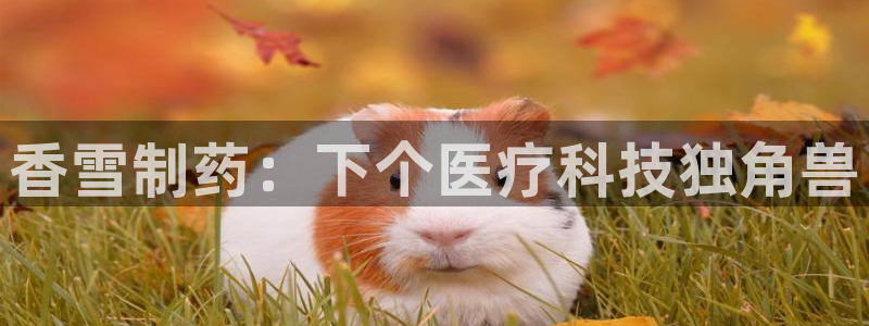 恒行招商老大诚挚 6ll5l