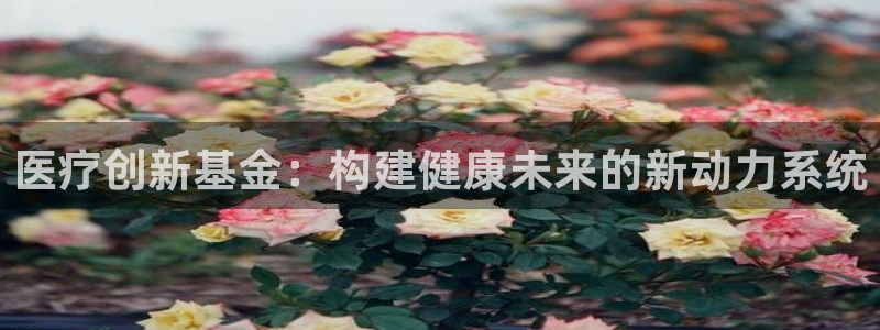 恒行娱乐河沂74ooo5程