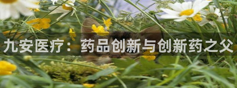 恒行娱乐冯74OOO5